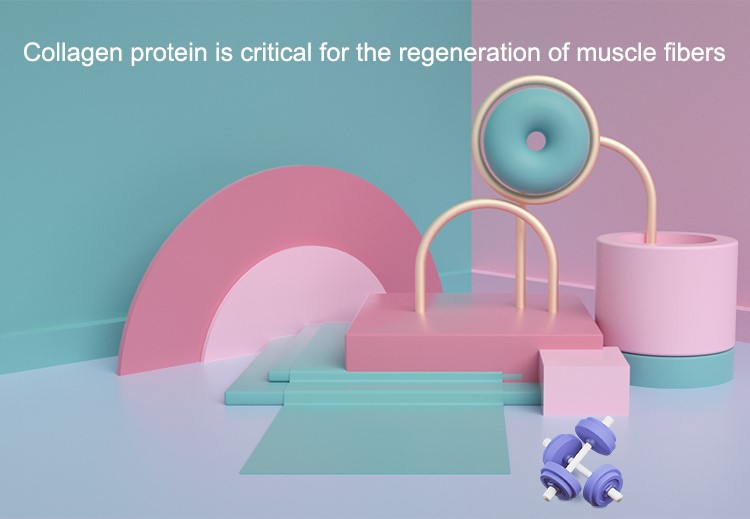 Description 2 Description 2